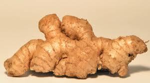 Pure Ginger Oil