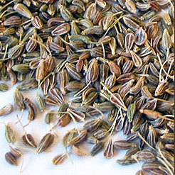 Pure Aniseed Oil