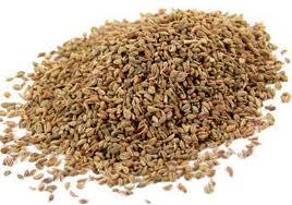 Pure Ajwain Oil