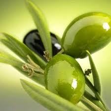 Pure Olive Oil - Extra Virgin