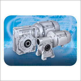Worm Gear Motors