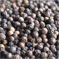 Indian Black Pepper