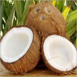 Fresh Coconut