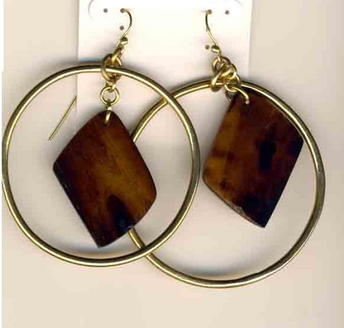 Brass & Resin Earrings