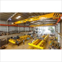 Bridge EOT Crane