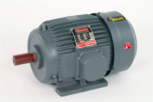 ELECTIC MOTOR