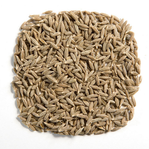 cumin seeds