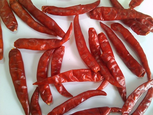 teja chilli