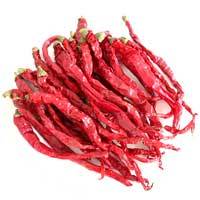 273- chilli