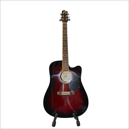 Semi Electronic Guitar