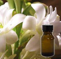 Tuberose Absolute - Age Group: Adults