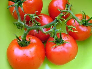 Tomato Seed Oil