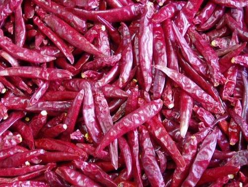 dry Red chilly