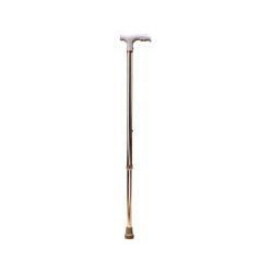 Walking Stick