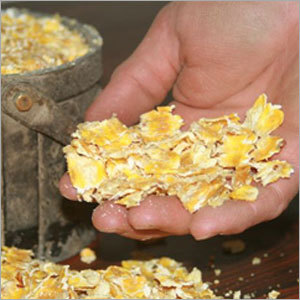 Poultry Feed Ingredients