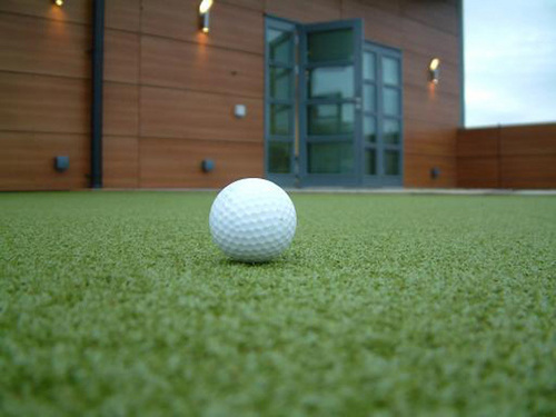 ARTIFICIAL GRASS