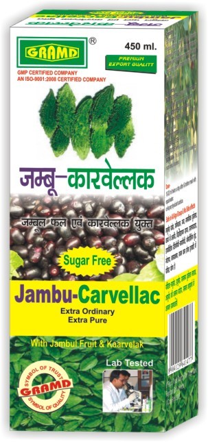 Diabetes Remedy