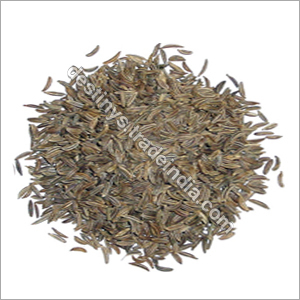 Caraway
