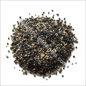 Poppy Seed