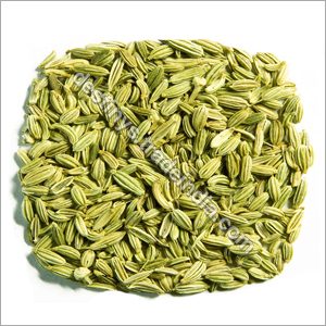 Fennel