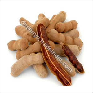 Tamarind