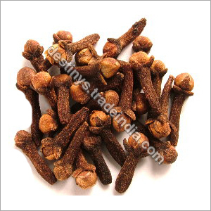 Clove