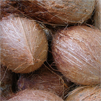 Coconut Shell Products
