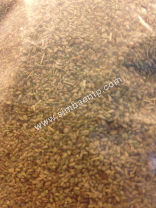 Carom Seed Ajwain
