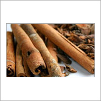 Cinnamon Stick