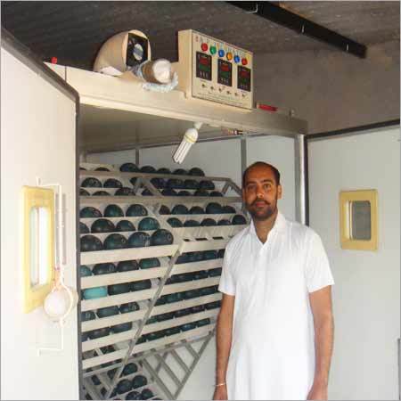 Our Emu Hatchery