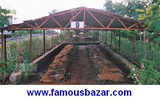 Varmi Zyme And- Varmi Compost