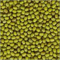 Green Mung Bean