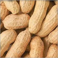 Ground Nuts