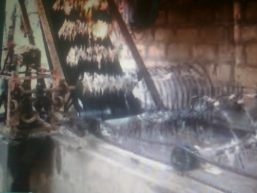 Rafiya Conveyor Plant