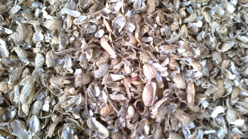groundnut shell By ROYAL BIO COAL
