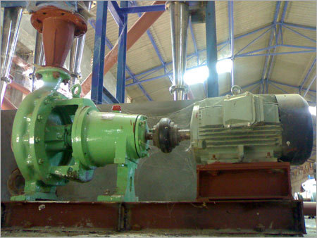 Our Complete Running Paper Plants
