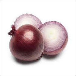 Onion