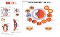 Eye charts