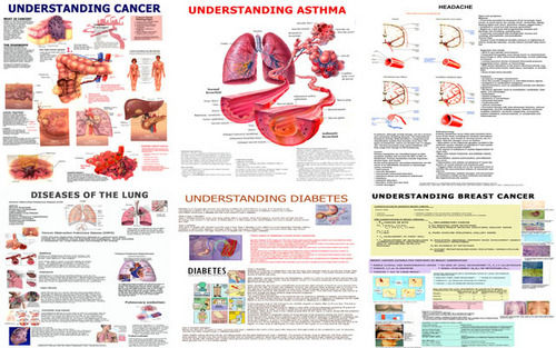 Diseases Charts