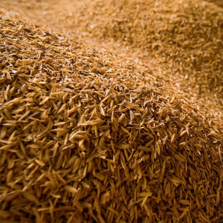 Rice Husk