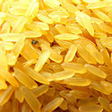Lalat Rice