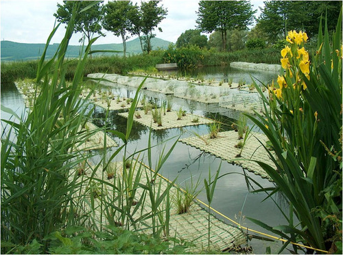Reed Bed