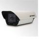 Box IP Cameras