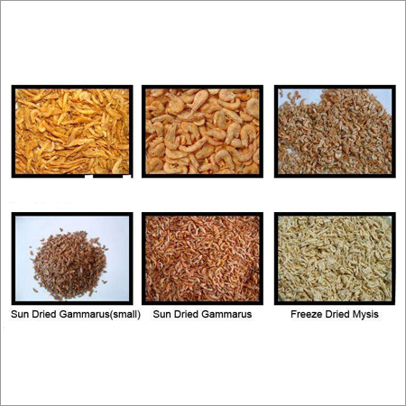 Dried Fish Feed
