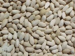 Credence Neem Seed