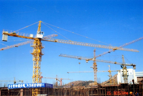 Mini Tower Crane - Hoisting Moment 1000 KN.m