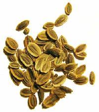 Dill Seed oil 50%