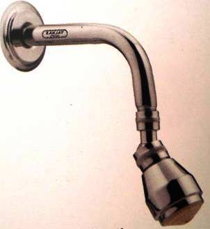 Bend Shower