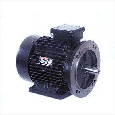 Foot Cum Flange Motor