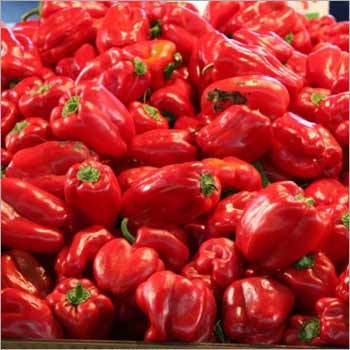 Vegetables Red Pepper